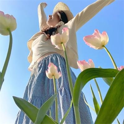 夏威夷特勤组第九季